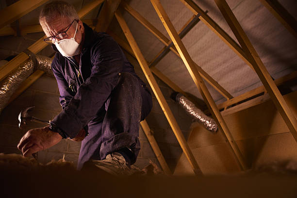 Best Types of Insulation in Cortland, OH