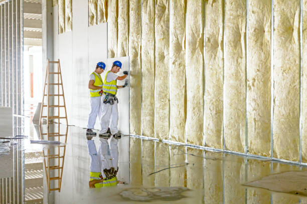 Best Commercial Insulation in Cortland, OH